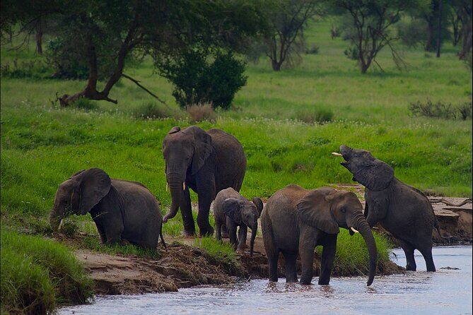 5 Days Northern Tanzania Safari- Lodging - The Itinerary in Detail: What Makes It Special