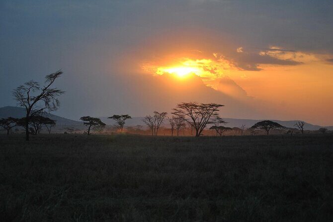 5 Days Northern Tanzania Safari- Lodging - Final Thoughts: Who Is This Safari Best For?