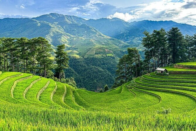 5 days Northwest adventures with Bac Ha Sunday Market - Why This Tour Offers Fantastic Value