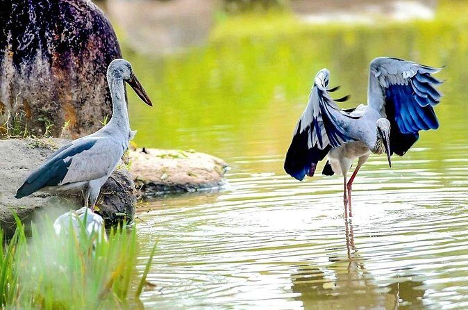 5 Days Private Bangladesh Tour Tea & Rainforest - Day 5: Unique Ecosystems and Final Highlights