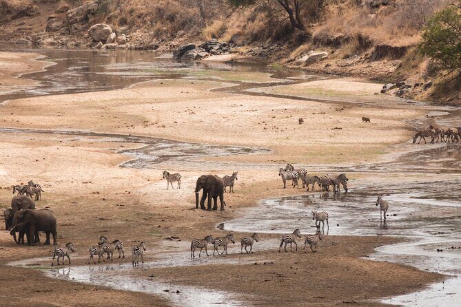 5-Days Private Midrange Safari: Serengeti, Ngorongoro & Manyara - FAQs