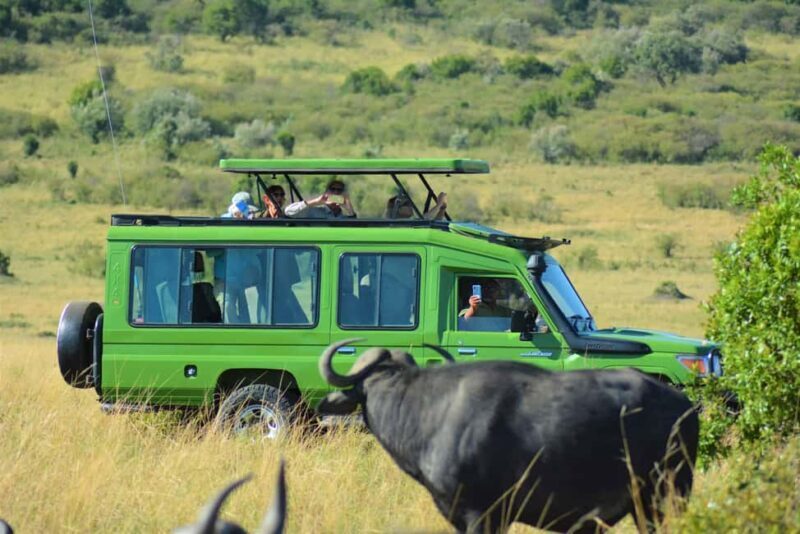 5 Days Private Midrange Safari-Serengeti & Ngorongoro - The Sum Up