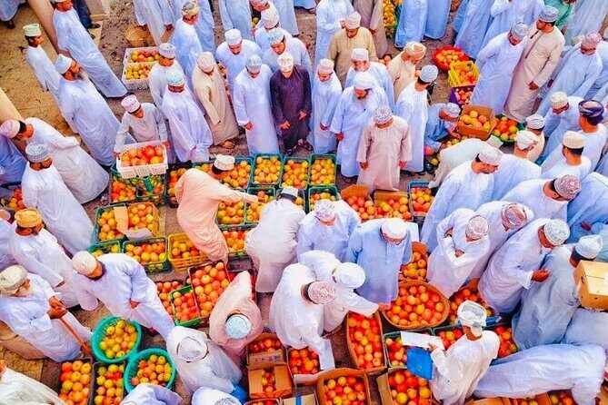 5-Days Private Oman Tour from Muscat - Key Points