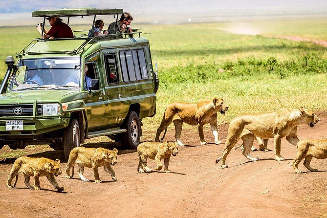 5 Days Private Safari- Tarangire, Serengeti, Ngorongoro & Manyara - The Itinerary Breakdown: What to Expect Each Day
