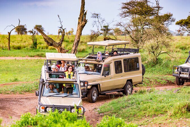 5 Days Private Safari Tour & Maasai village Visit Tanzania - Key Points