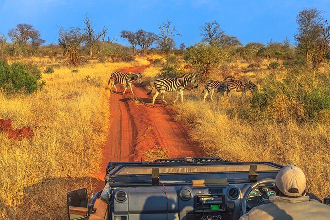 5 Days Private Safari Tour & Maasai village Visit Tanzania - A Deep Dive into the Itinerary