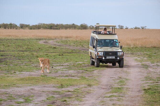 5 Days Private Safari Tour & Maasai village Visit Tanzania - Practical Considerations for Travelers