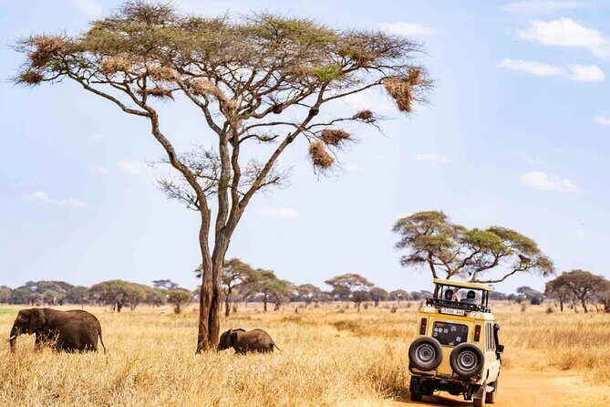 5 Days Private Tarangire, Serengeti, Ngorongoro, Manyara Safaris - An Overview of the 5-Day Itinerary