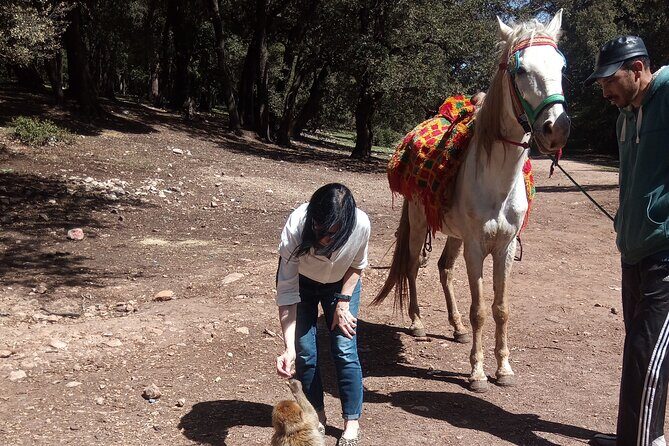 5 Days Private Tour from Casablanca to Fes and Sahara Desert - Price & Value