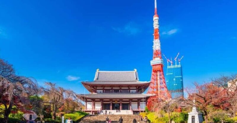 5-Days Private Tour Tokyo, Mt Fuji, Nikko, Hakone and Nagano - The Itinerary Breakdown: What to Expect Each Day