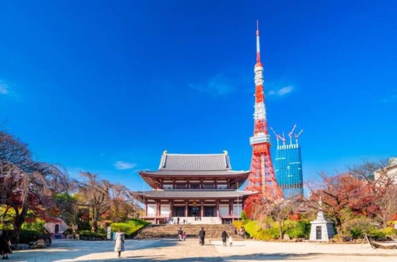 5-Days Private Tour Tokyo, Mt Fuji, Nikko, Hakone and Nagano - Who Should Consider This Tour?