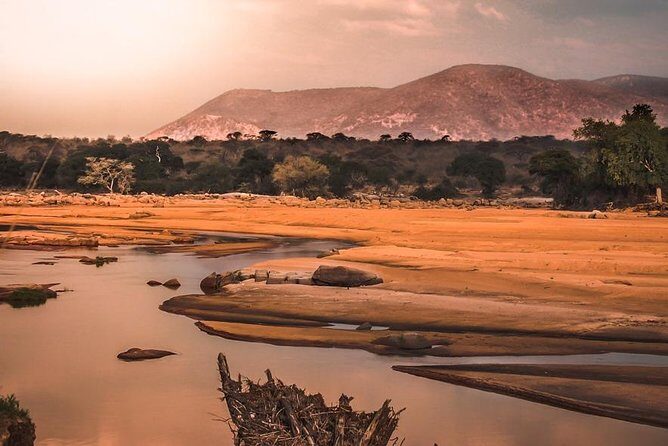 5 Days Ruaha National Park Safari - Summary: Is This Safari Right for You?