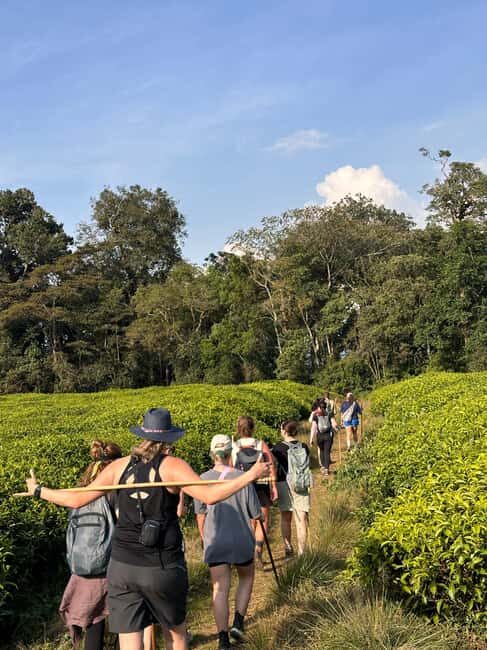 5 Days Rwanda: Volcanoes, Lake Kivu, Nyungwe & Nyanza Tour - Key Points