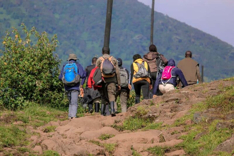 5 Days Rwanda: Volcanoes, Lake Kivu, Nyungwe & Nyanza Tour - Final Thoughts: Who Is This Tour Best For?