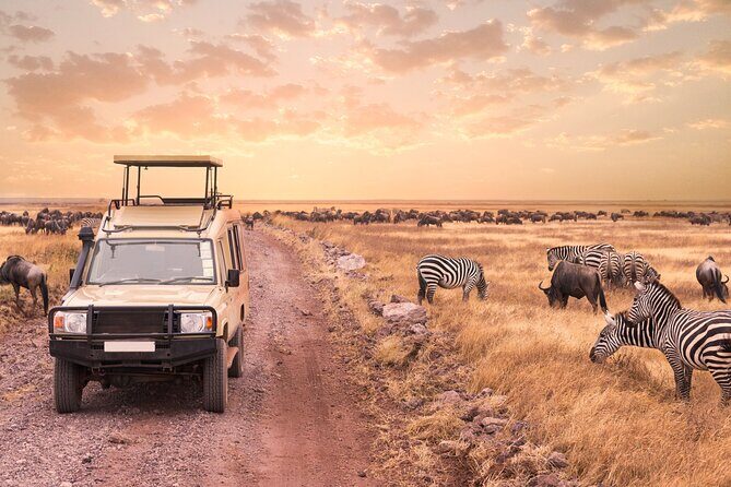 5 days safari, hiking & culture (Serengeti & kilimanjaro) - Breaking Down the 5-Day Itinerary