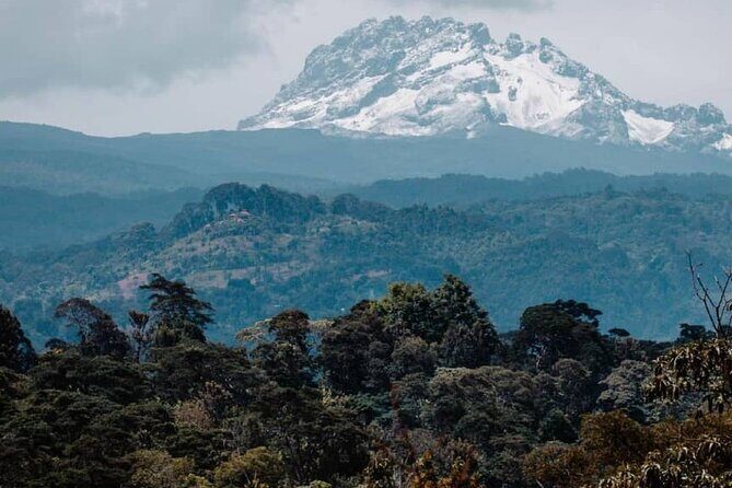 5 days safari, hiking & culture (Serengeti & kilimanjaro) - The Real Value of This Safari