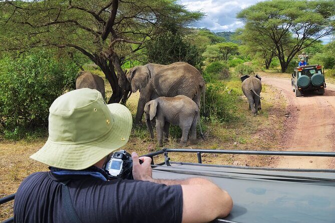 5 days safari, hiking & culture (Serengeti & kilimanjaro) - Final Thoughts
