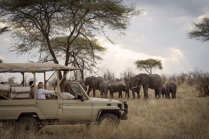 5 Days Safari In Serengeti And Ngorongoro - Key Points  