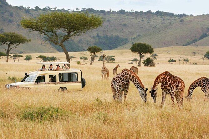 5 Days Safari in Tanzania | Camping and Lodge Safaris - Introduction to the Tour