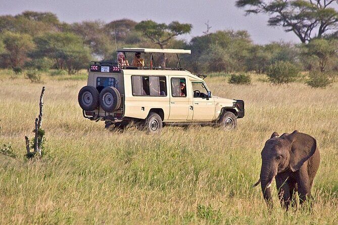 5 Days Safari in Tanzania | Camping and Lodge Safaris - The Itinerary in Detail