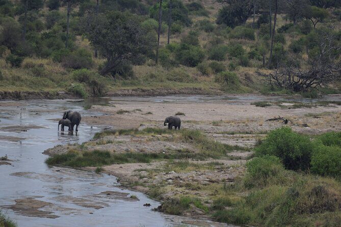 5 Days Safari Lodges & Culture - An In-Depth Look at the Itinerary