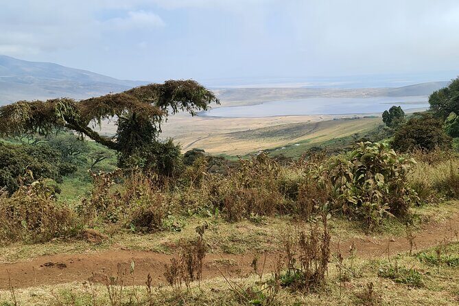 5 Days Safari Lodges & Culture - Final Thoughts