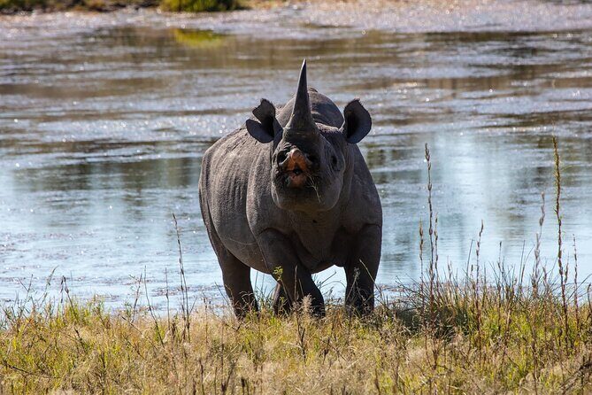 5 Days Safari Northern Circuit of Tanzania - Practical Considerations