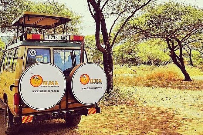 5 days Safari to Lake Manyara, Serengeti and Ngorongoro crater - Authentic Experiences as Reflected in Reviews