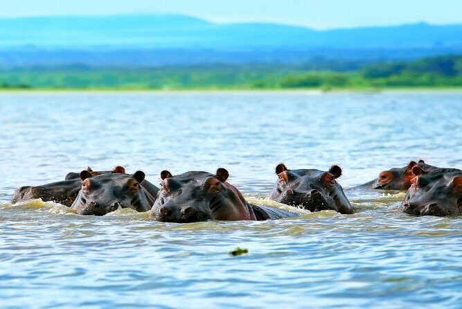 5 Days safari to Maasai Mara ,Lake Nakuru and Hell's gate national park - Key Points