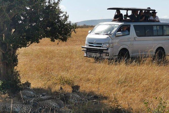 5 Days safari to Maasai Mara ,Lake Nakuru and Hell's gate national park - Why This Tour Offers Great Value