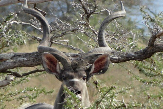 5 Days Safari to Nyerere NP (Selous GR) and Mikumi NP - Key Points
