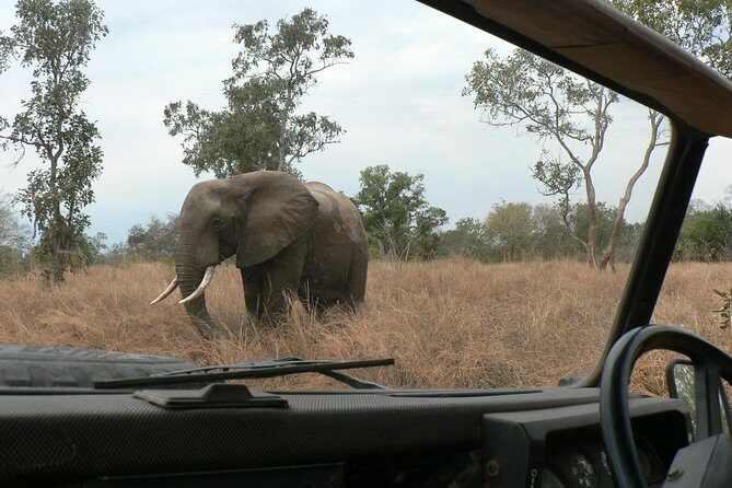 5 Days Safari to Selous & Mikumi - Key Points