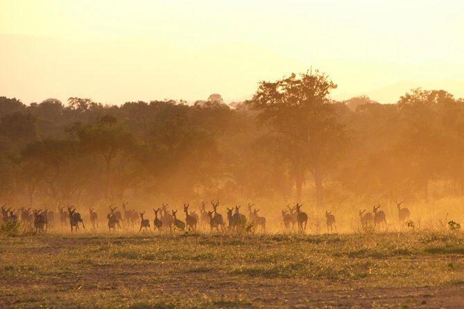 5 Days Safari to Selous & Mikumi - Practical Details & Tips