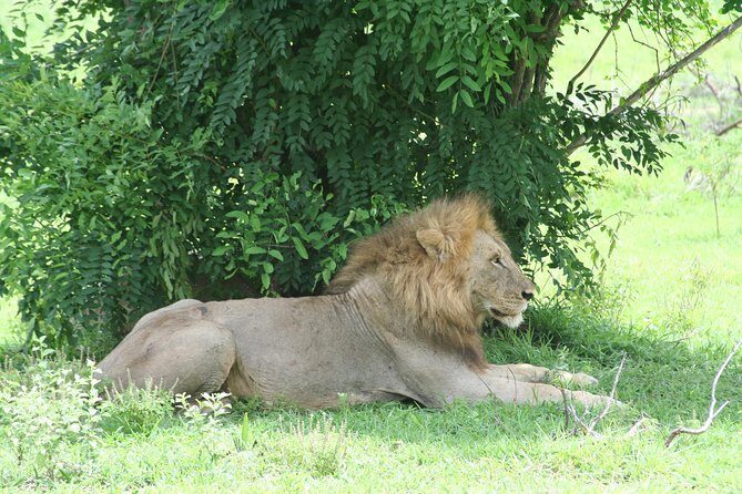5 Days Safari to Selous & Mikumi - Who Will Love This Safari?
