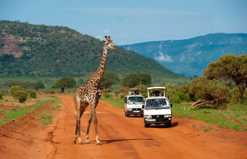 5 days safari to Tsavo East, West & Amboseli from Mombasa - Frequently Asked Questions