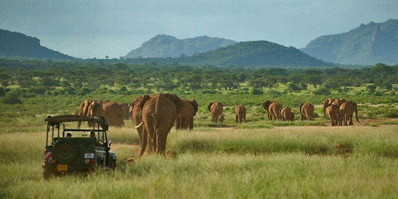 5 Days Samburu, Ol-Pejeta and Aberdares Wildlife Safari - Key Points