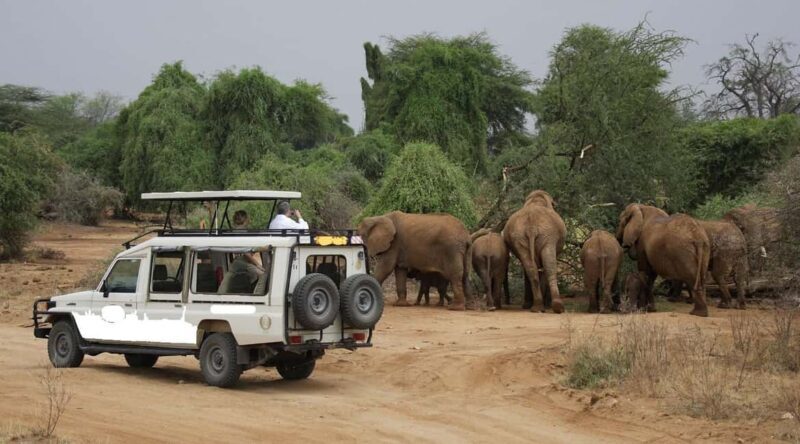 5 Days Samburu, Ol-Pejeta and Aberdares Wildlife Safari - Practical Considerations