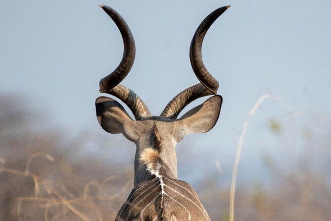 5-Days Selous Game Reserve and Mikumi National Park Tour - Key Points