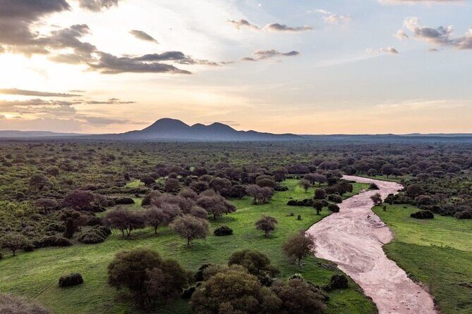 5-Days Selous Game Reserve and Mikumi National Park Tour - What Makes This Tour Stand Out