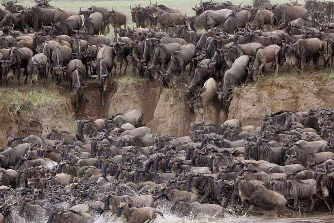 5 Days Serengeti Camping Safari - Final Thoughts
