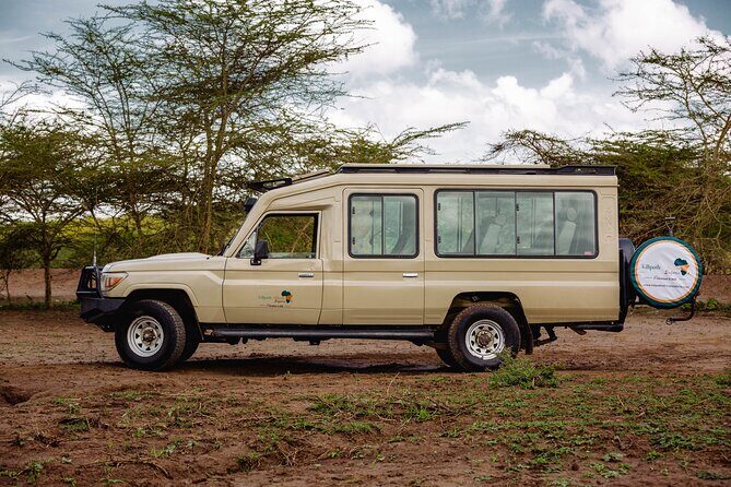 5 Days Serengeti Camping Safari - Authentic Insights from Past Travelers