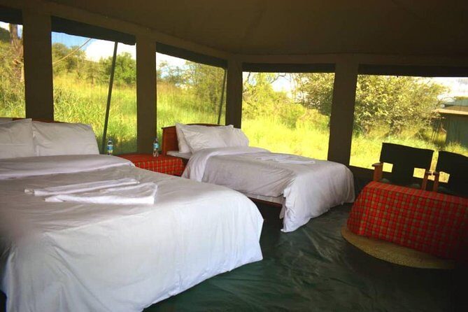 5 days serengeti, ngorongoro, tarangire & manyara lodge tour - Why This Tour Is a Great Choice