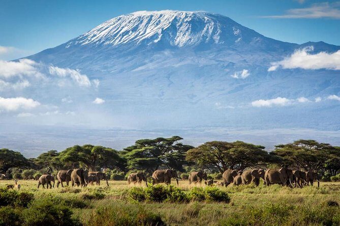5 days Serengeti Wildebeest Migration Safari - Final Thoughts