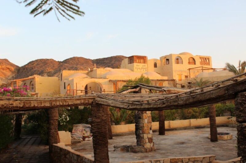 5 Days Siwa, Bahariya, and White Desert Guided Tour - Who Should Consider This Tour?