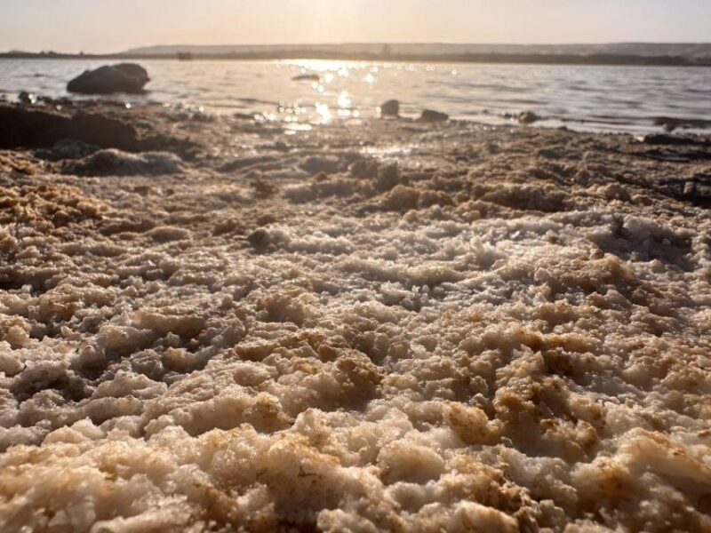 5 Days Siwa, Bahariya, and White Desert Guided Tour - Final Verdict