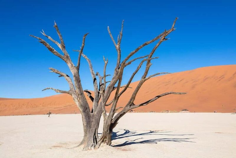 5 Days Sossusvlei and Swakopmund Tour - Shared Shuttle - Exploring the Desert and Dunes: Sossusvlei Highlights