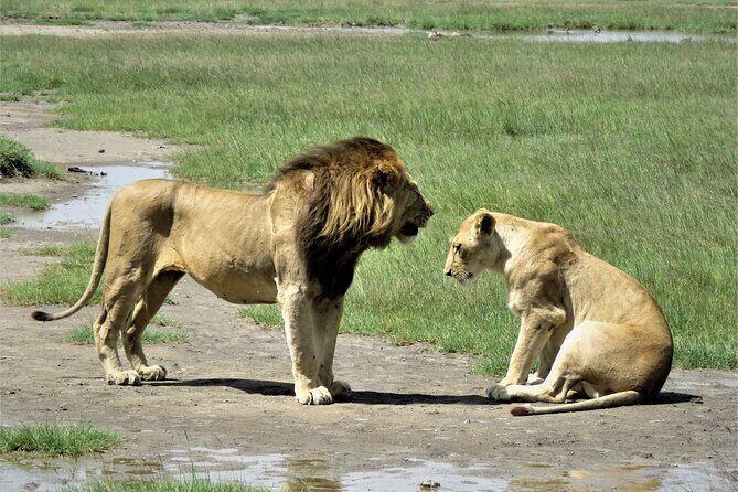 5 Days Special Safari to see migration - Exploring the Itinerary in Detail