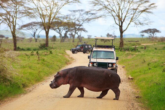 5 Days Tanzania Budget Camping Safari from Arusha - Exploring the Itinerary in Detail