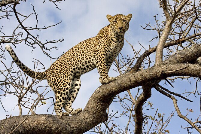 5 Days Tanzania Budget Camping Safari from Arusha - Practical Details and What to Expect
