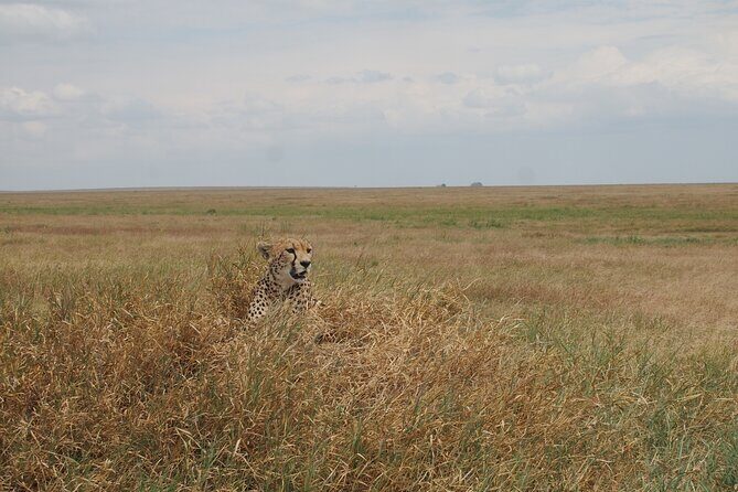5 days Tanzania Camping Safari - FAQ